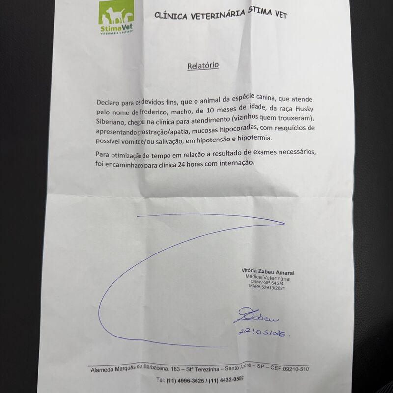 Imagem da publicação