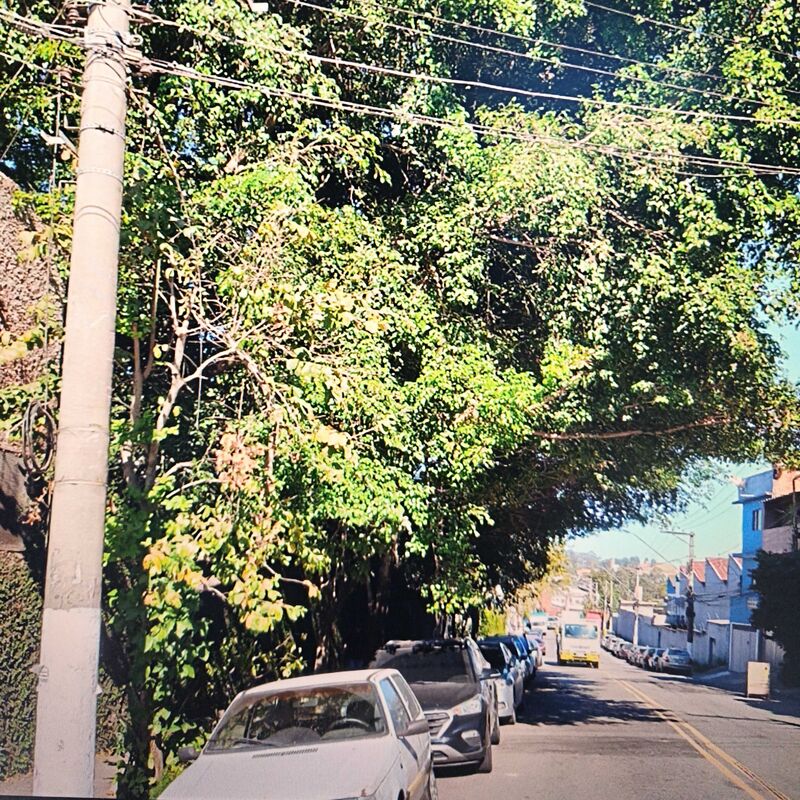 Imagem da publicação