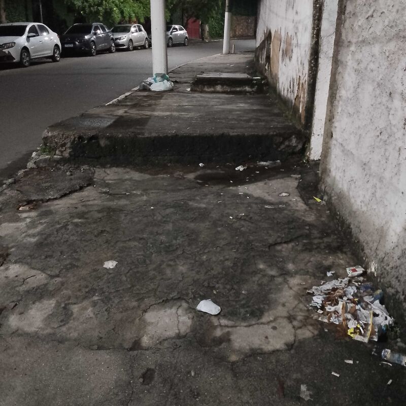 Imagem da publicação