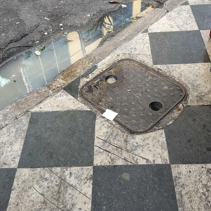 Imagem da publicação