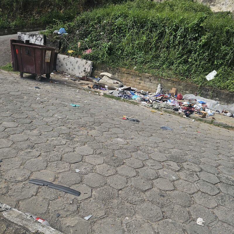 Imagem da publicação