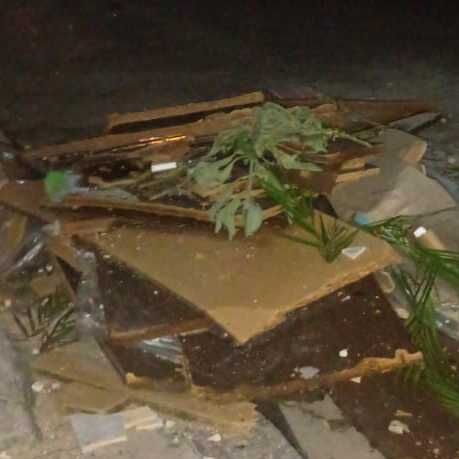 Imagem da publicação