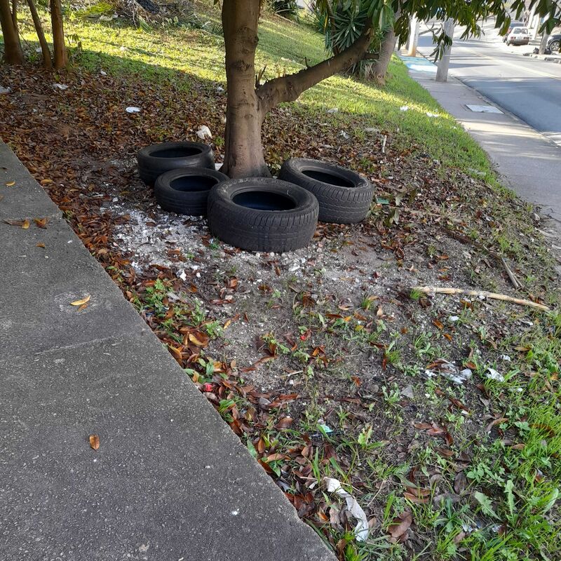 Imagem da publicação