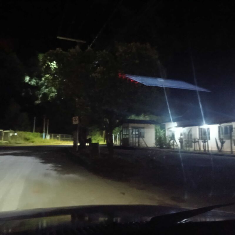 Imagem da publicação