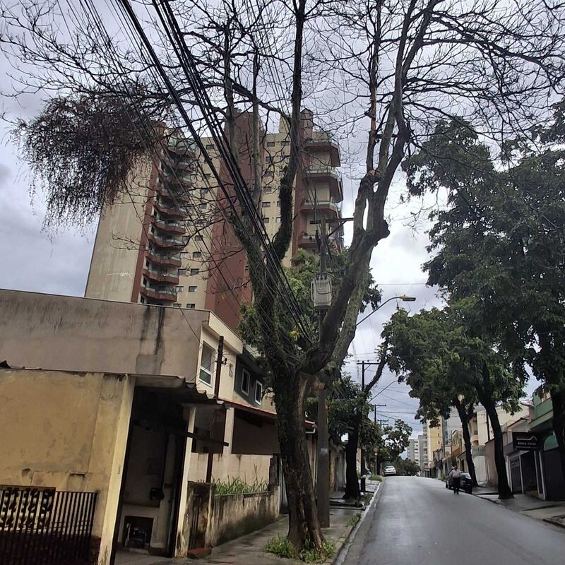 Imagem da publicação