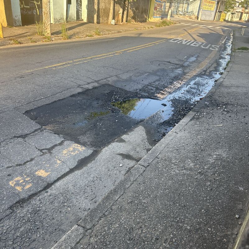 Imagem da publicação