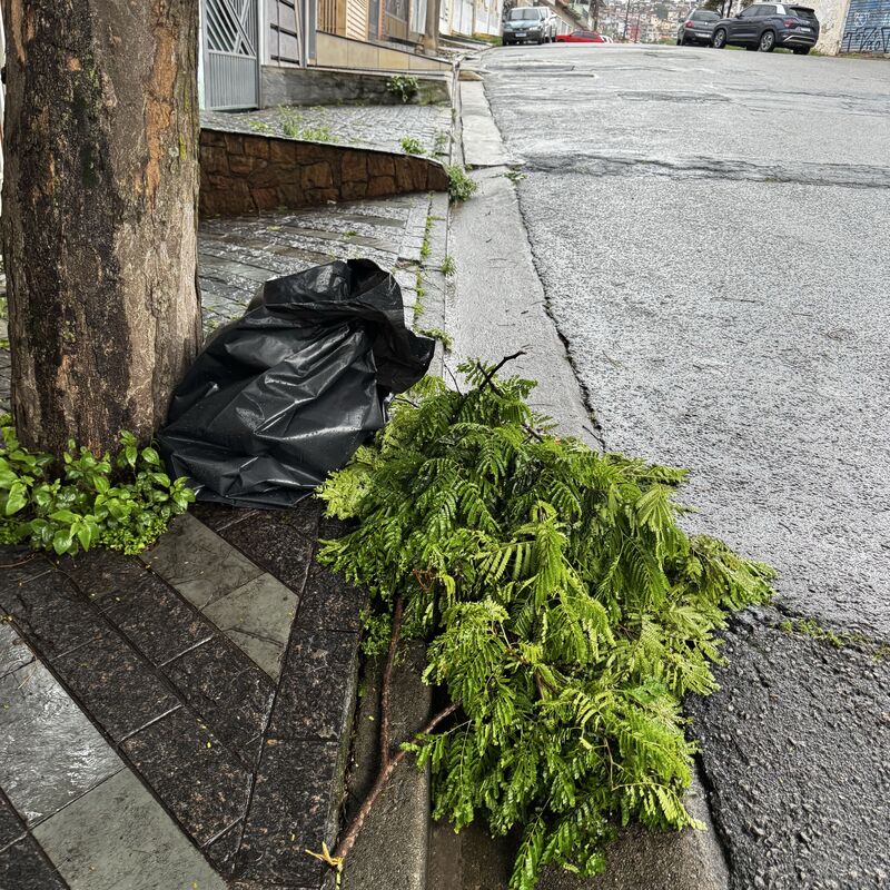 Imagem da publicação