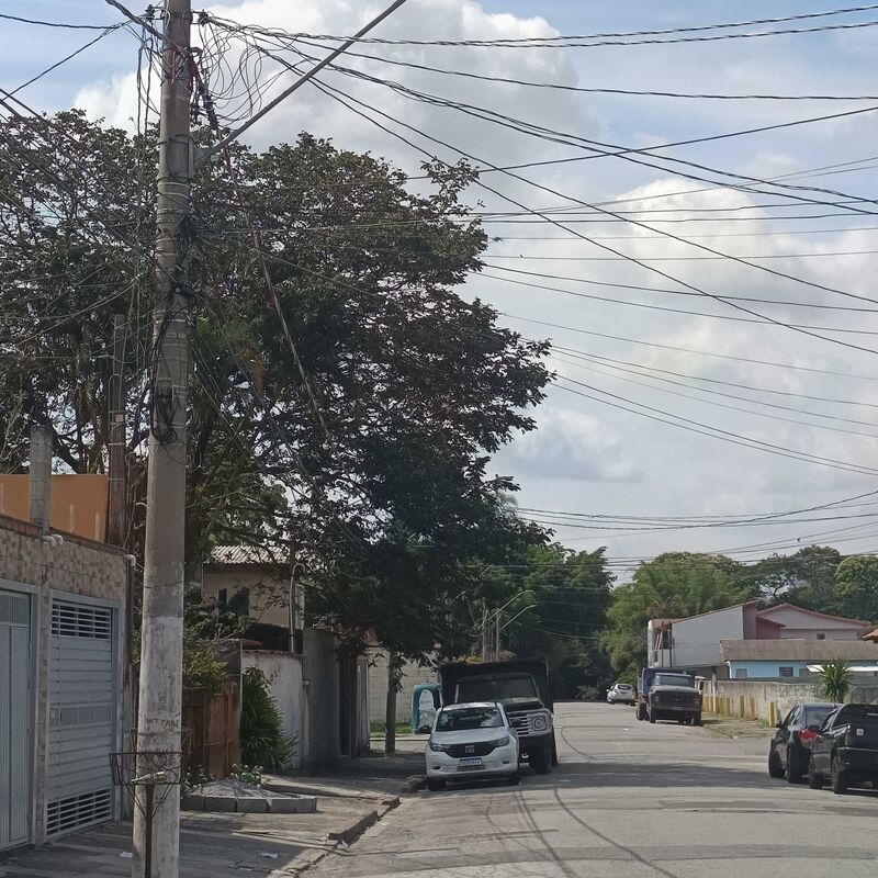 Imagem da publicação