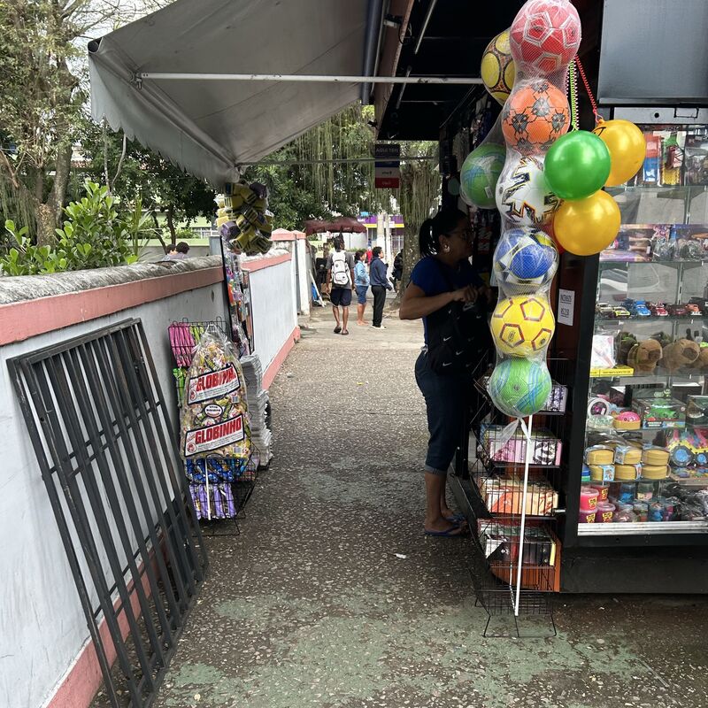 Imagem da publicação