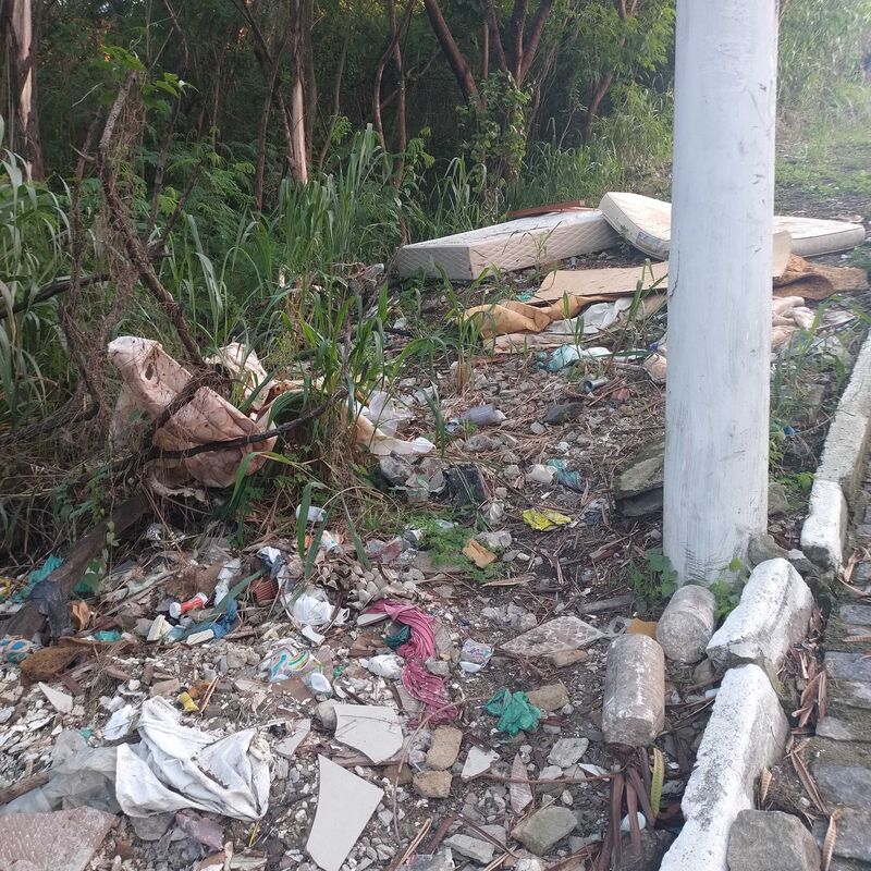 Imagem da publicação