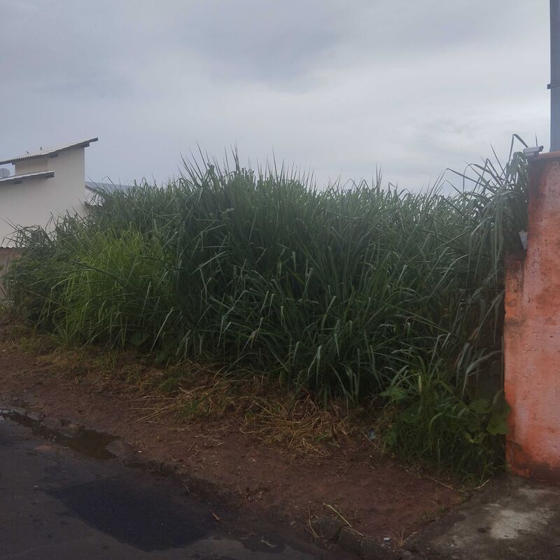 Imagem da publicação