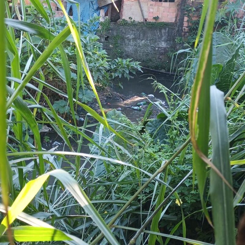 Imagem da publicação