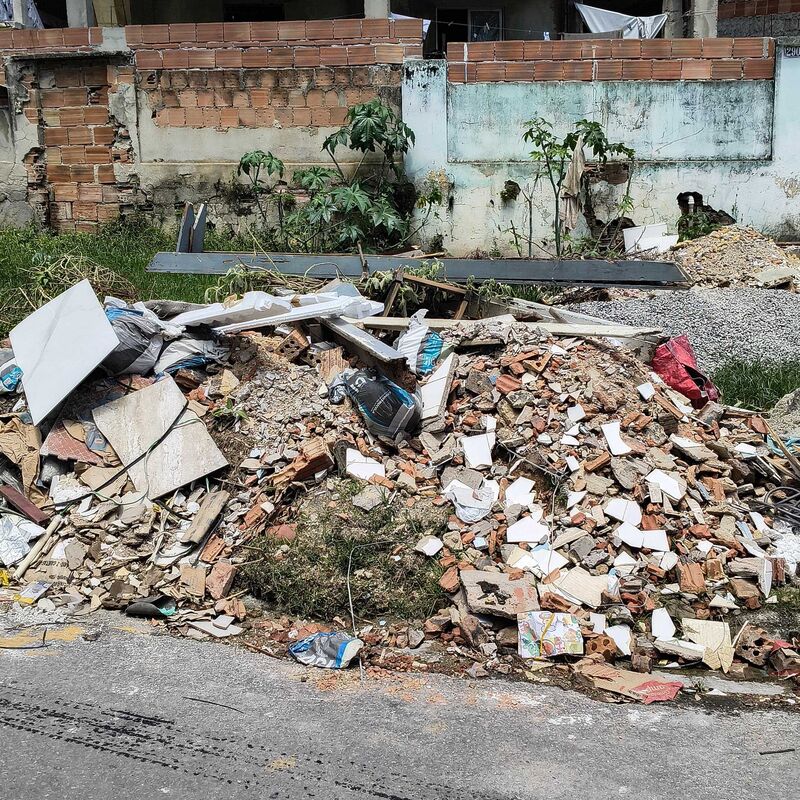 Imagem da publicação