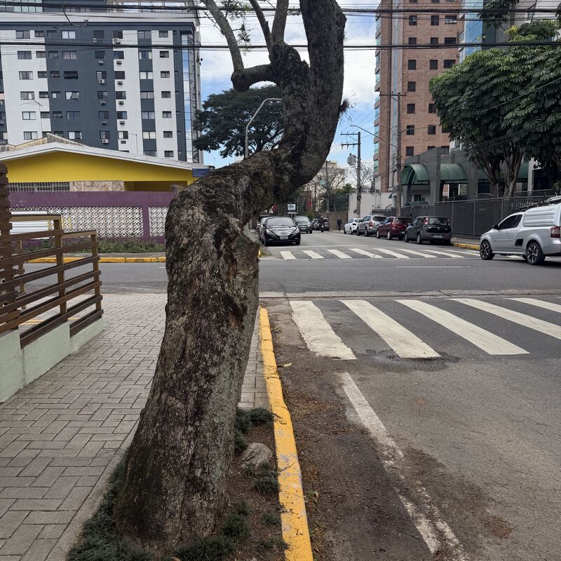 Imagem da publicação