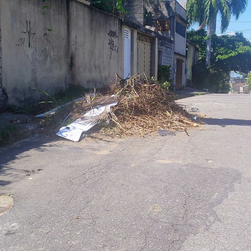 Imagem da publicação