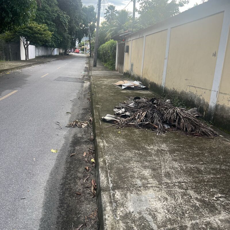 Imagem da publicação