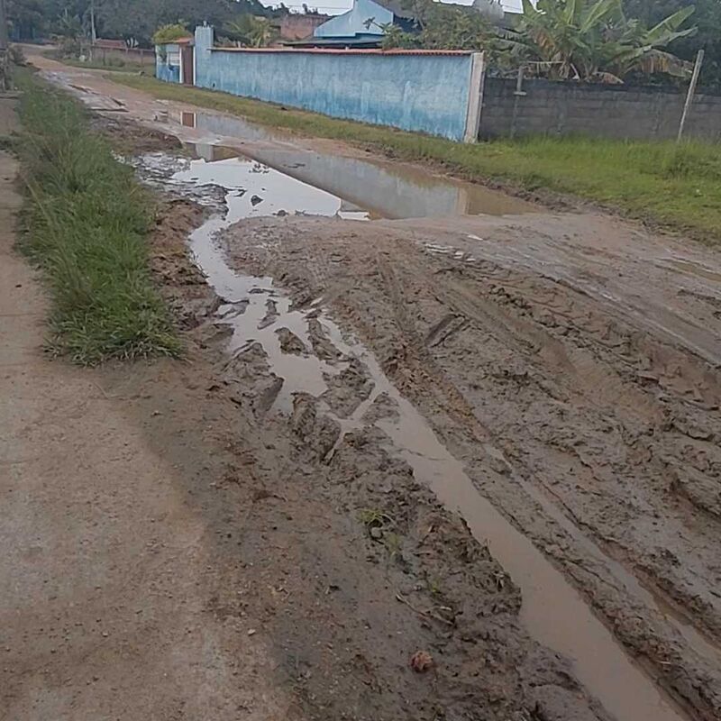 Imagem da publicação