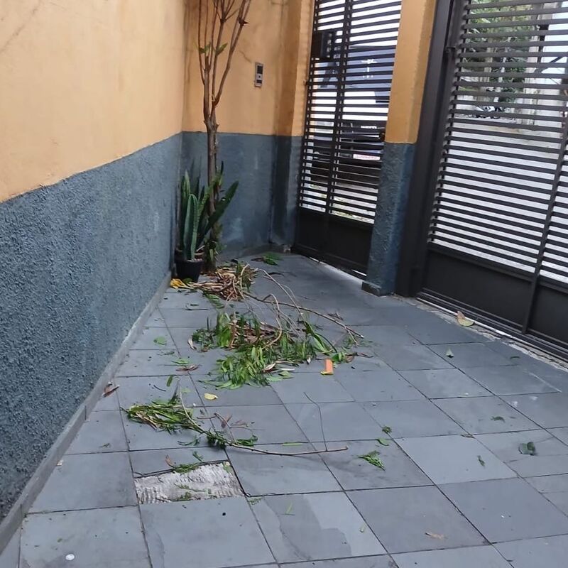 Imagem da publicação