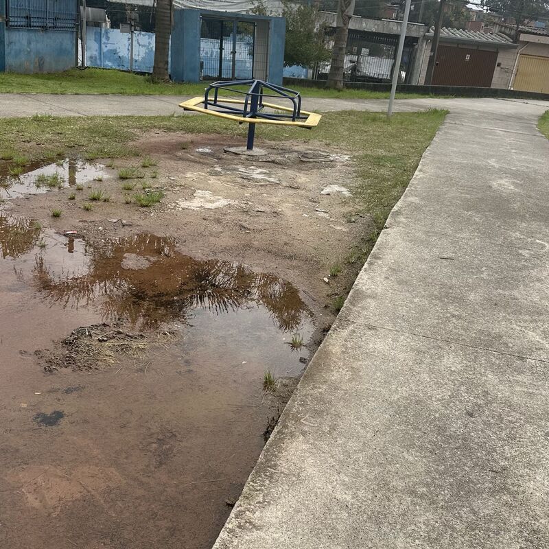 Imagem da publicação