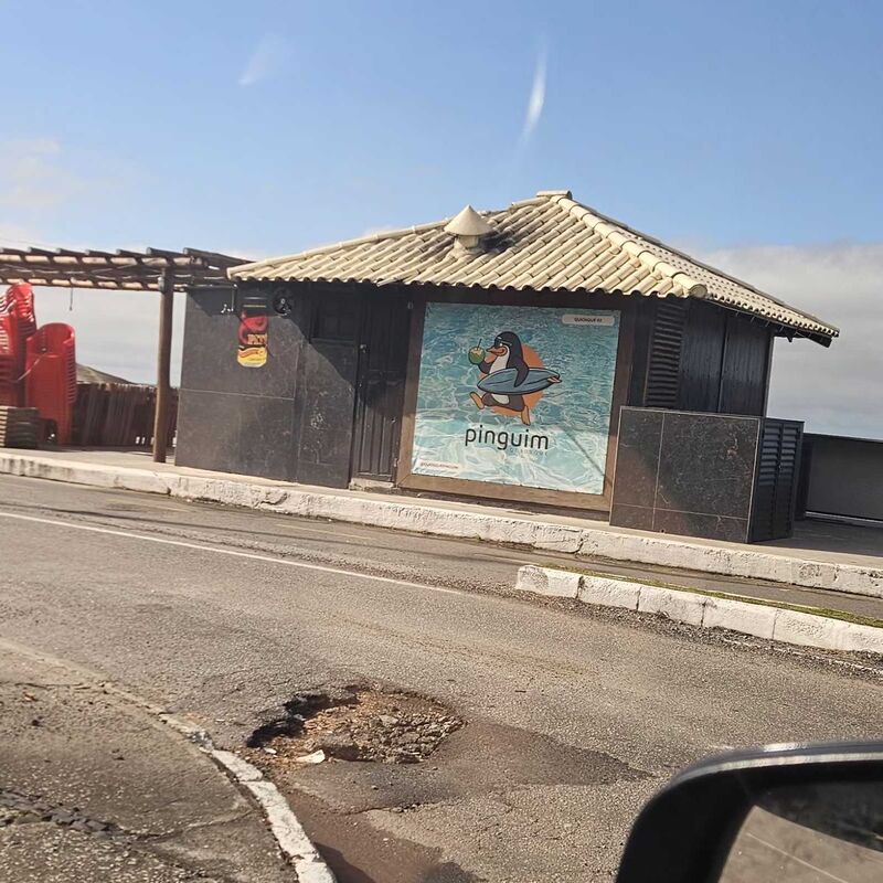 Imagem da publicação