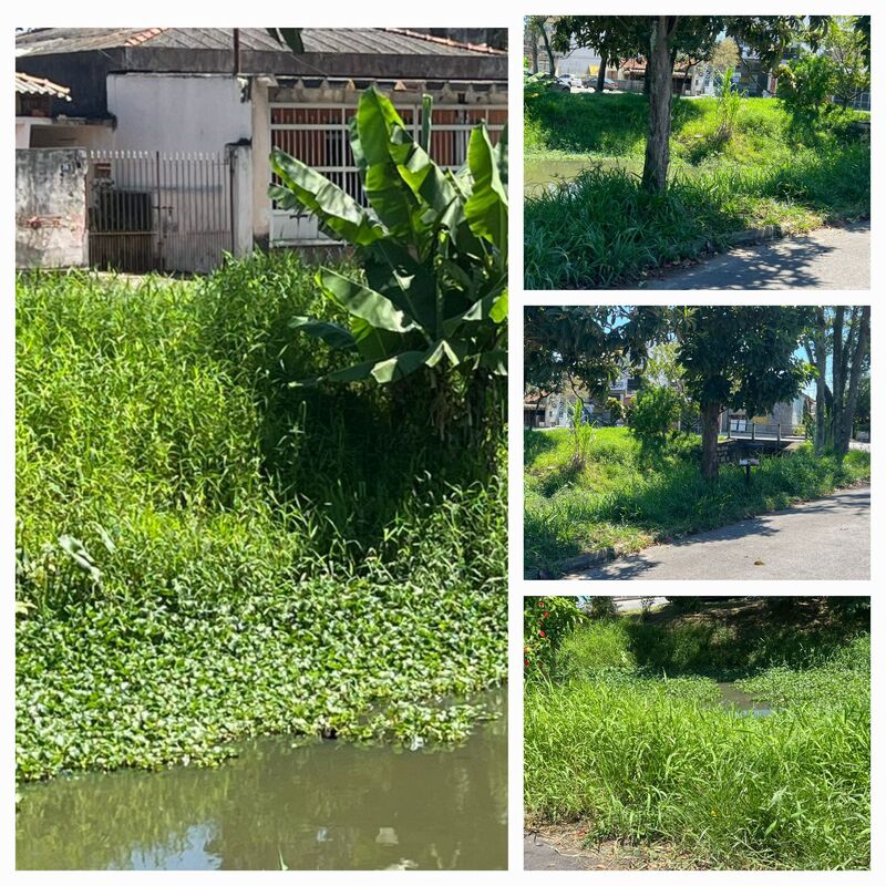 Imagem da publicação