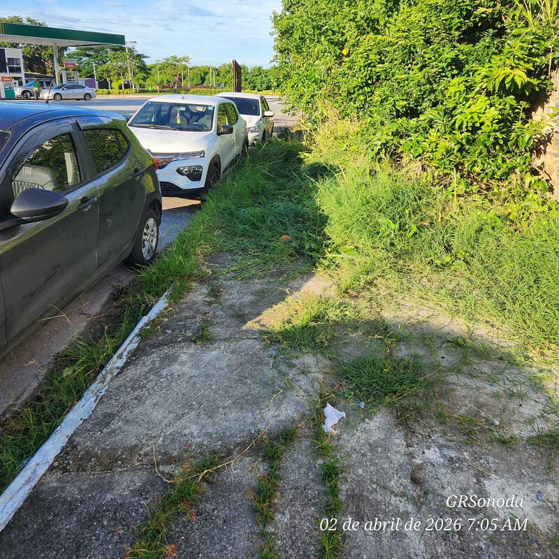 Imagem da publicação