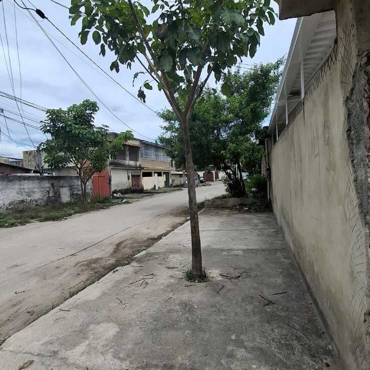 Imagem da publicação