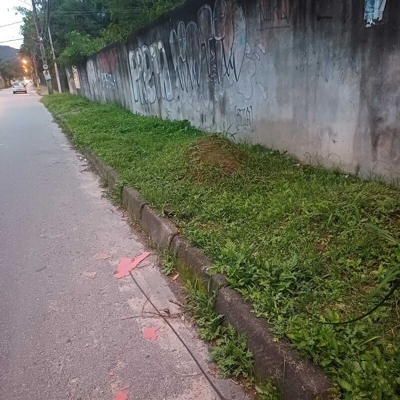 Imagem da publicação