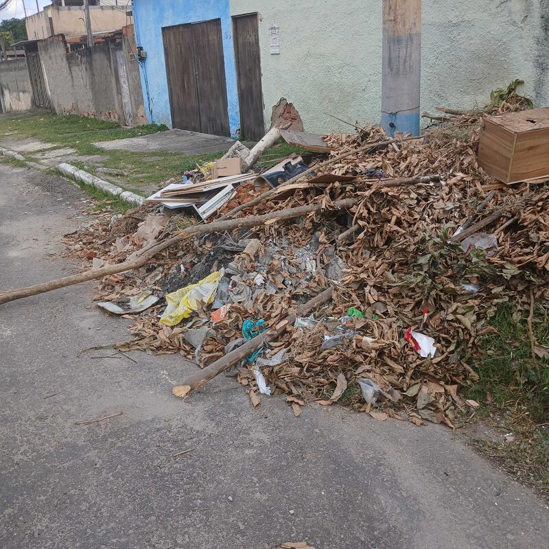 Imagem da publicação