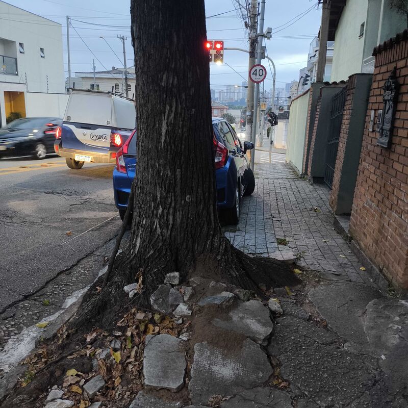 Imagem da publicação