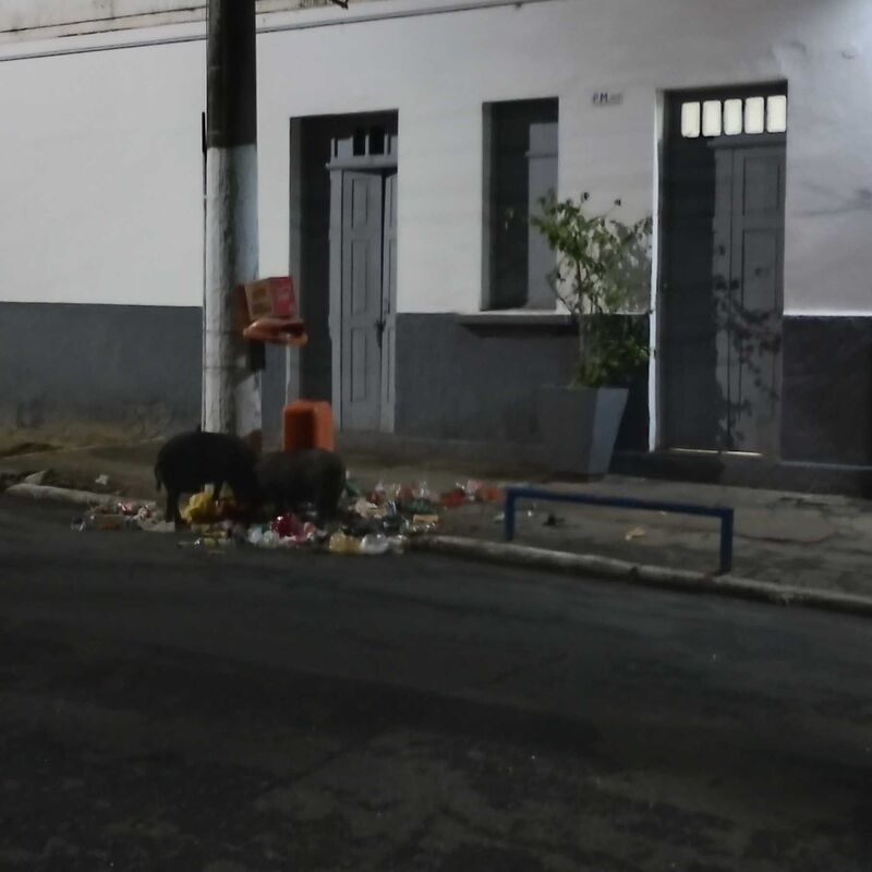 Imagem da publicação