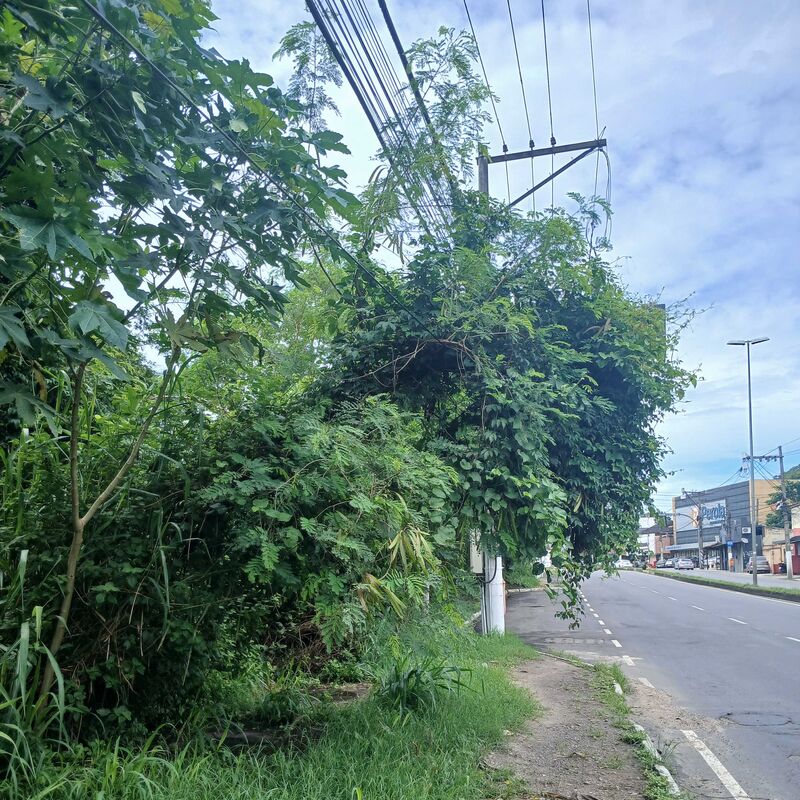 Imagem da publicação