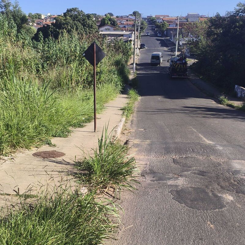 Imagem da publicação