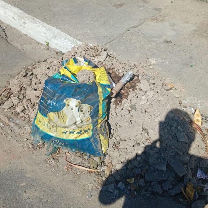 Imagem da publicação