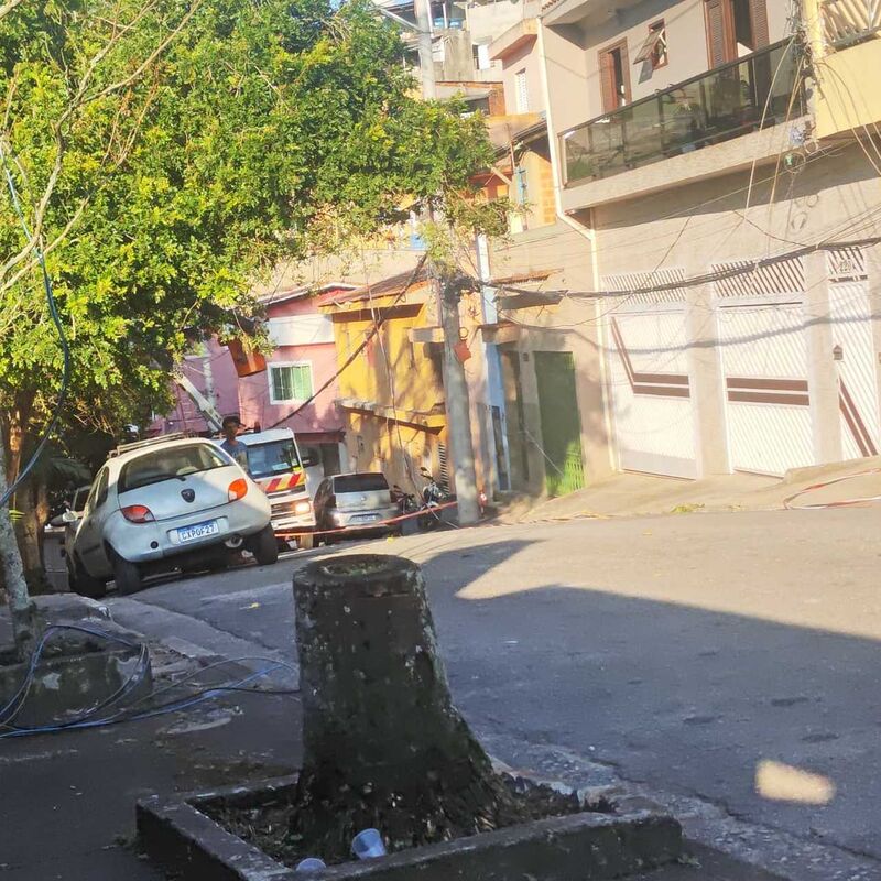 Imagem da publicação