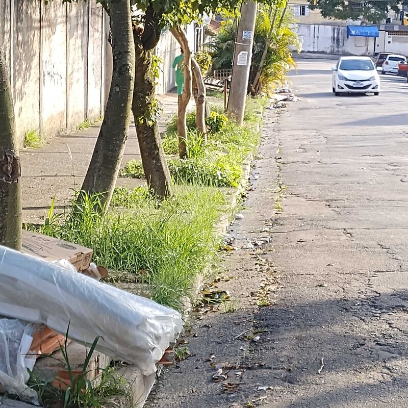 Imagem da publicação