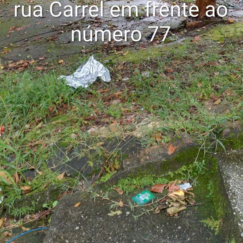 Imagem da publicação