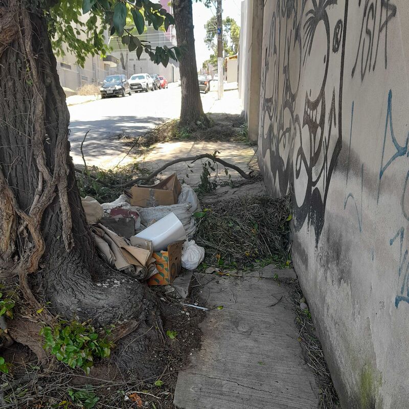 Imagem da publicação