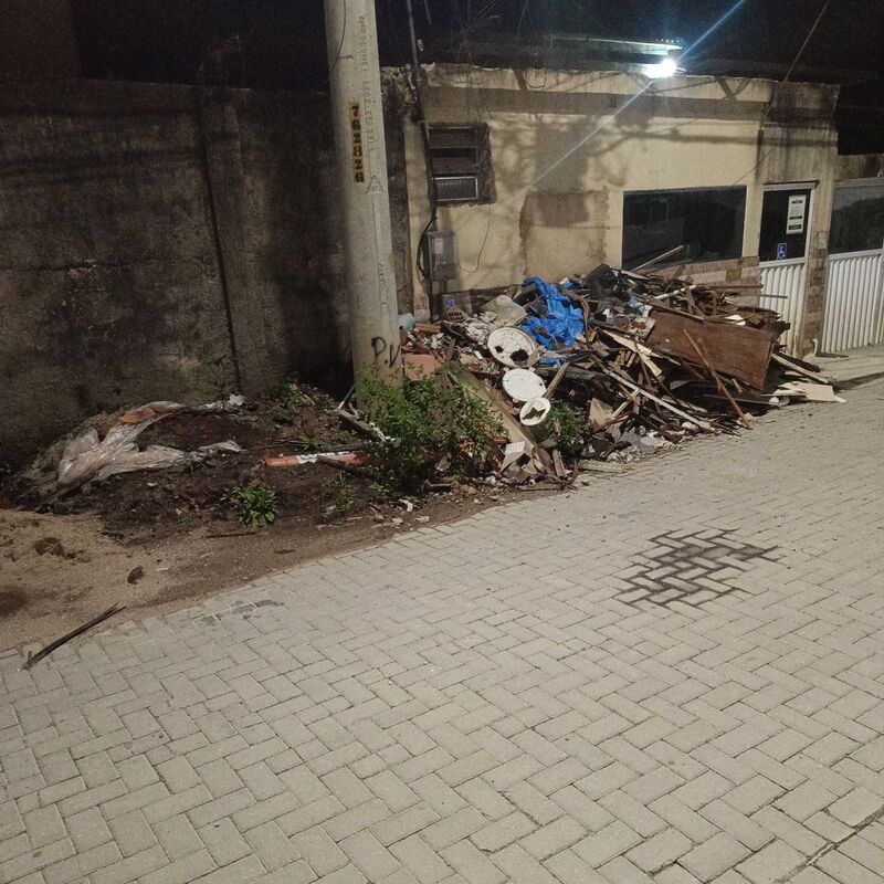 Imagem da publicação