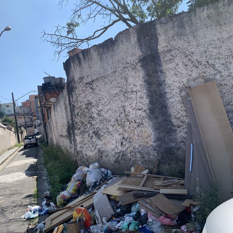 Imagem da publicação