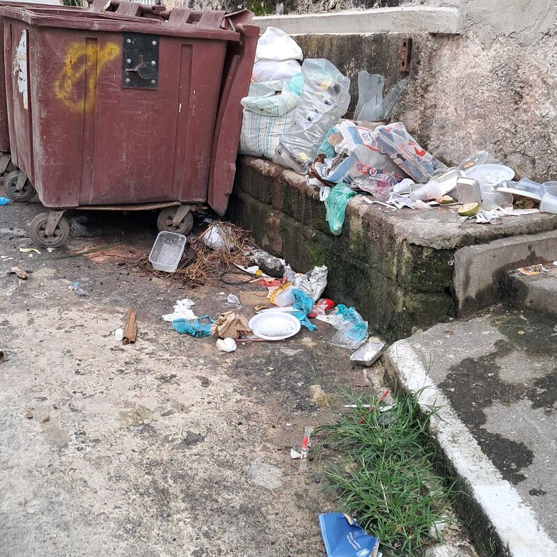 Imagem da publicação