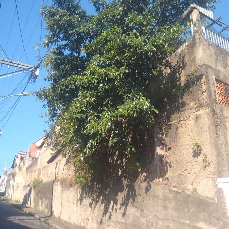 Imagem da publicação