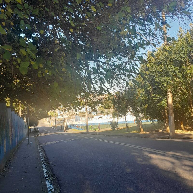 Imagem da publicação