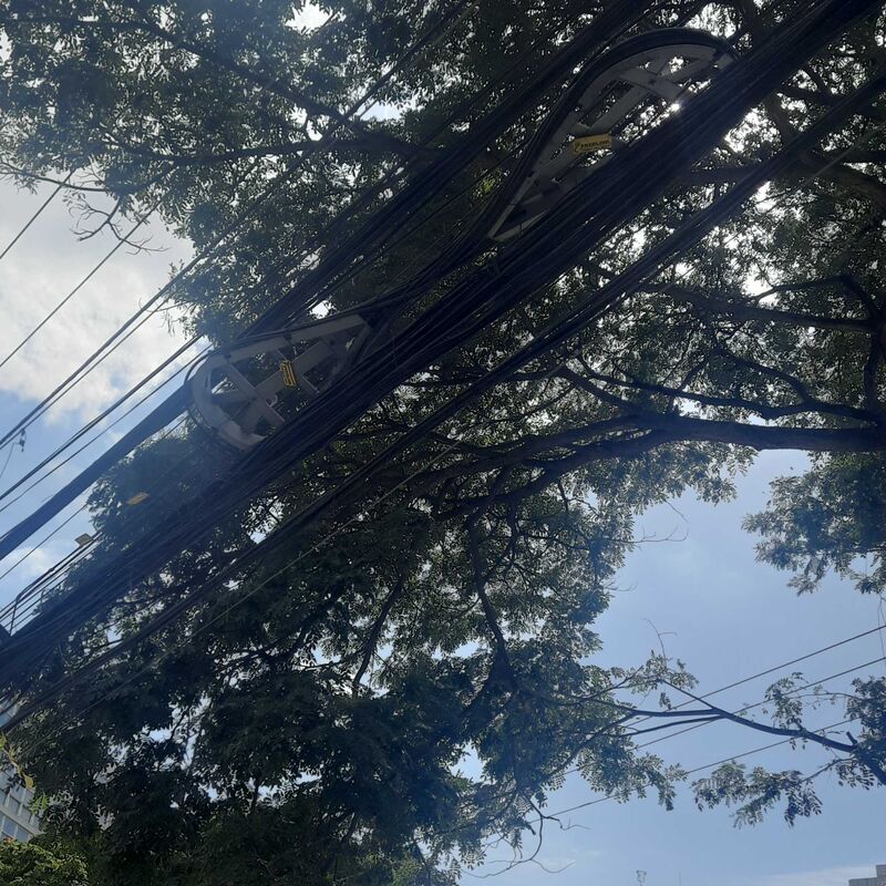 Imagem da publicação