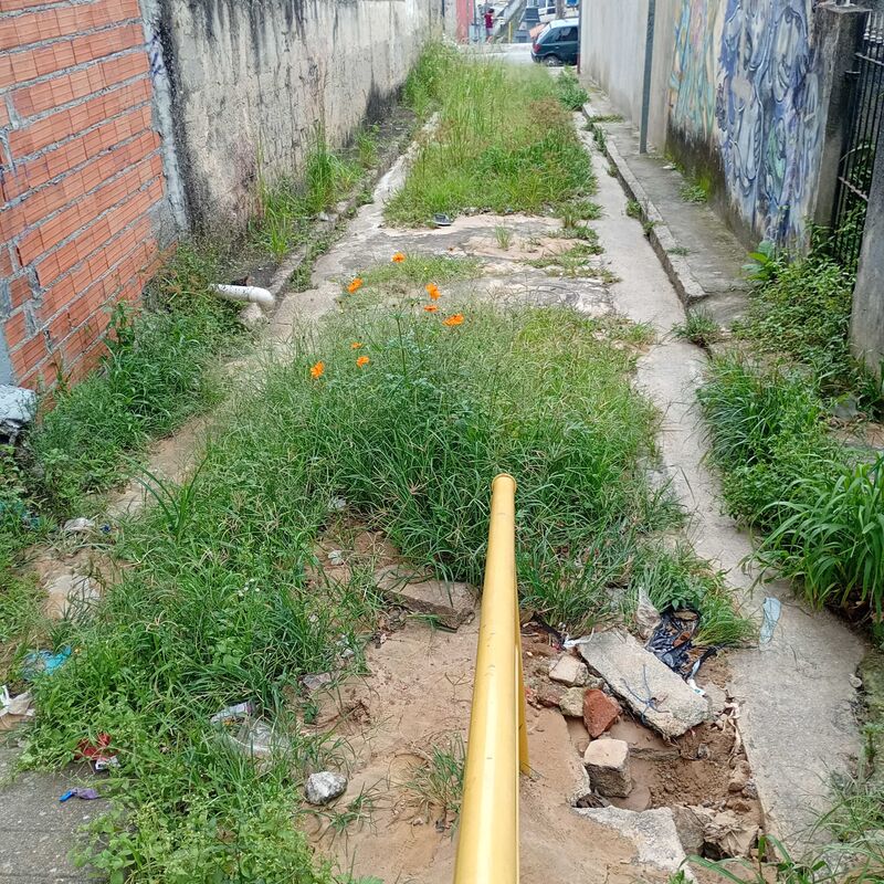 Imagem da publicação