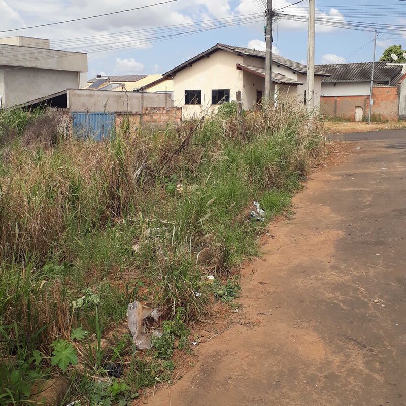 Imagem da publicação