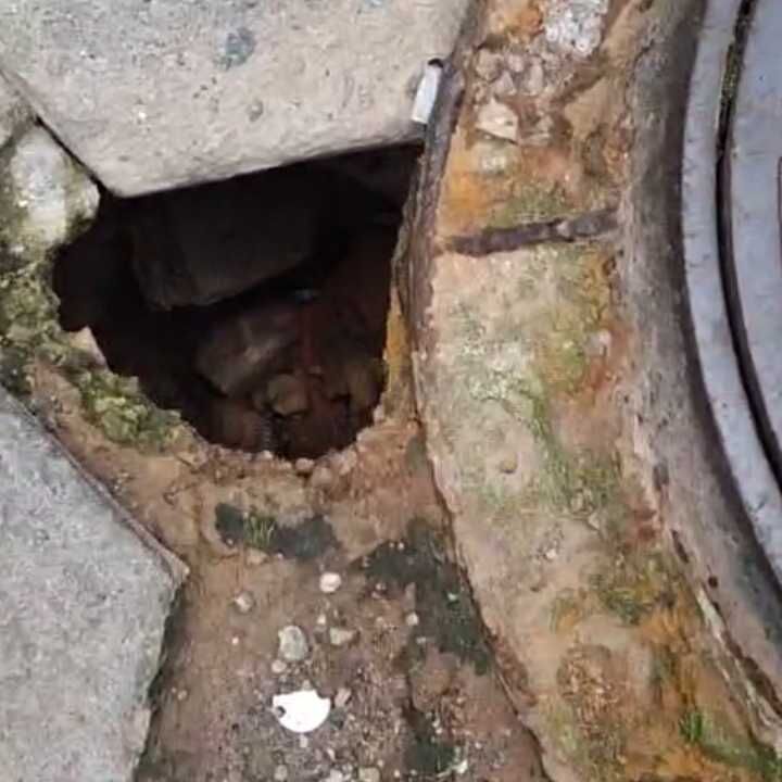 Imagem da publicação