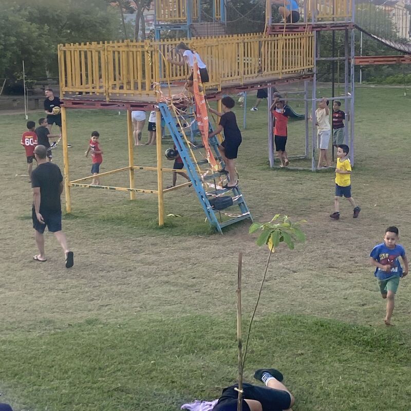 Imagem da publicação