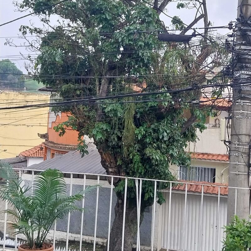 Imagem da publicação