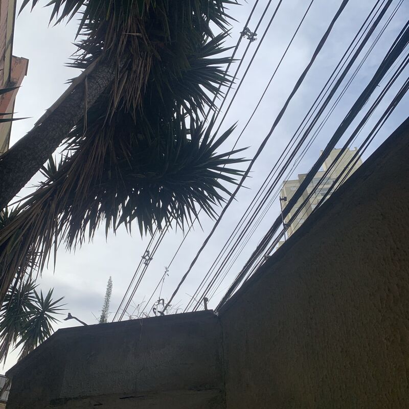 Imagem da publicação